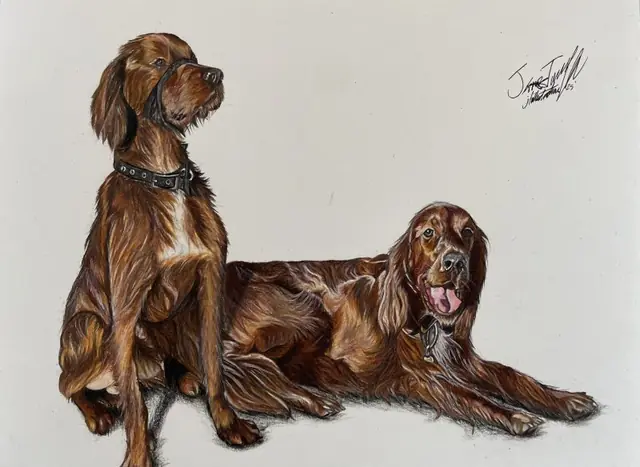 Drawing of two Irish setter dogs, one sitting and one lying down