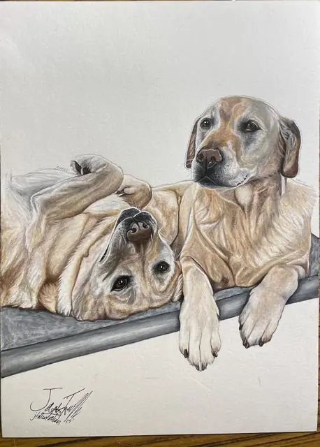 Drawing of two Golden Retrievers resting their paws on a metal rail